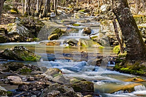 Spring View of a Wild Mountain Trout Stream