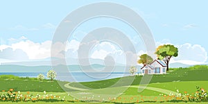 Spring village with Farmhouse on green field by the lake, fluffy cloud and blue sky Background,Rural nature landscape in