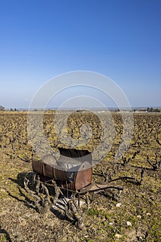 Spring vineyards near Rully, Burgundy, France