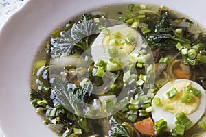 Spring vitamin soup of young nettle