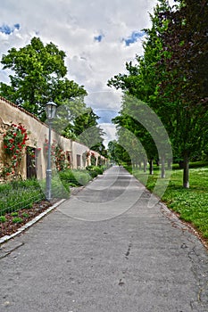 Spring at VyÃÂ¡ehrad in Prague
