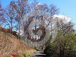 Spring walk in Alloa town