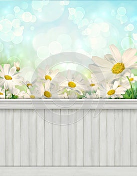 Spring wall background/backdrop