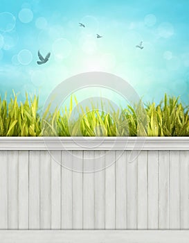 Spring wall background/backdrop