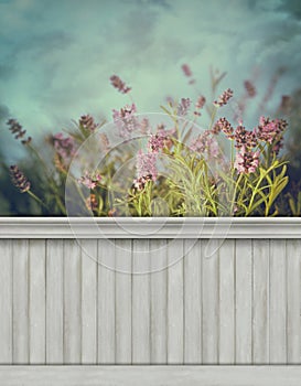 Spring wall background/backdrop