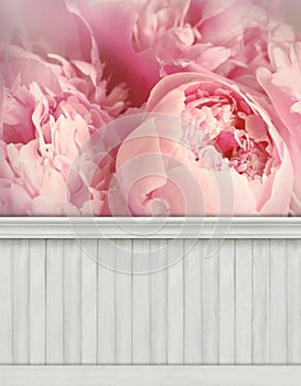 Spring wall background/backdrop