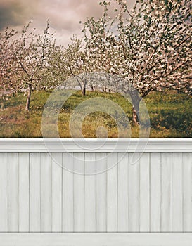 Spring wall background/backdrop