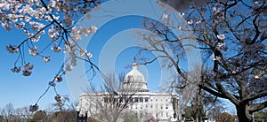 Spring in Washington DC, Capitol building USA. Supreme Court, Washington monument. USA Congress. Capitol is symbolic of