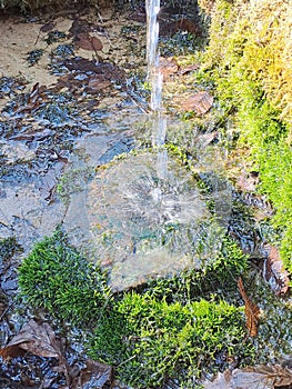 Spring water flows on stone covered in moss