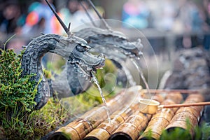 Spring water form dragon in Oshino Hakkai Village, Yamanashi Prefecture, Japan.