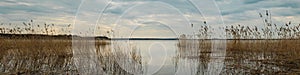 Spring water landscape. wide panoramic view from the shore of the lake through the coastal reeds on a cloudy evening