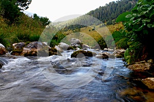Spring water mountain river and the beautiful rocky creek on North Caucasus. mountain natural landscape photo
