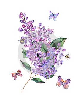 Spring watercolor blooming lilacs flowers greeting card, bees and butterfly photo
