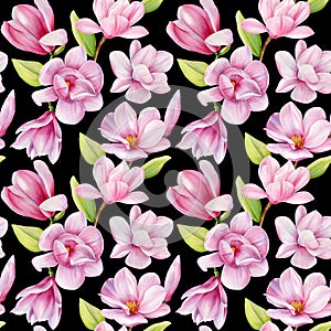 Spring watercolor magnolia blooming flowers. Seamless pattern pink blossom branches. Design floral on black background