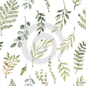 Spring watercolor seamless pattern. Botanical background with eucalyptus, branches, fern and leaves. Greenery illustration