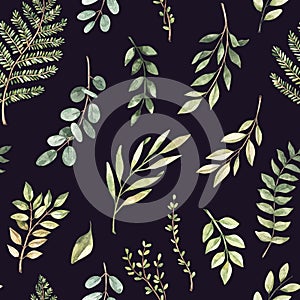 Spring watercolor seamless pattern. Botanical background with eucalyptus, branches, fern and leaves. Greenery illustration. Floral