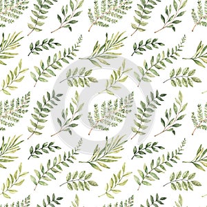 Spring watercolor seamless pattern. Botanical background with eucalyptus, branches, fern and leaves. Greenery illustration. Floral