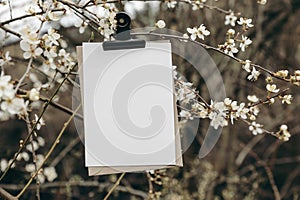 Spring wedding stationery mockup. Blank greeting, birthday invitation card with black metal bulldog clip. White blooming