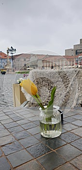 Spring weekend morning in Timisoara Romania at a coffee place in Unirii square Union square