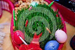 Spring wheat grass sprouts semeni for Novruz holiday spring equinox celebration in Azerbaijan . Semen is the attribute of Noruz