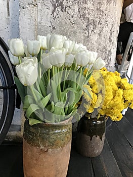 Spring Whispers in Clay Vases photo