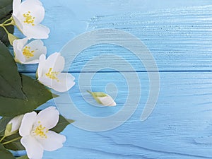 Spring white flowers freshness arrangement on a blue wooden background