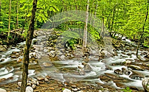 Spring and white water in The Great Smoky Mountains. HDR