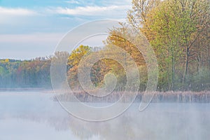 Spring, Whitford Lake in Fog