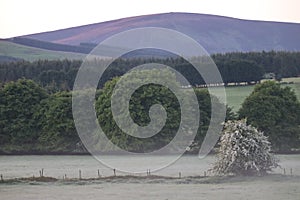 Spring in Wicklow Mountains National Park in Ireland