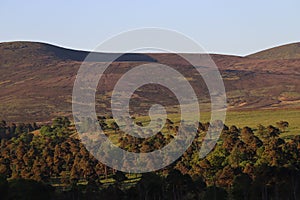 Spring in Wicklow Mountains National Park in Ireland