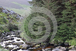 Spring in Wicklow Mountains National Park in Ireland