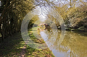 Spring with Wild Plum Blossom on the Grand Union Canal at Yelvertoft Cover, Northamptonshire