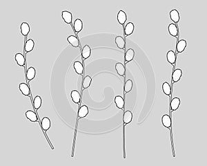 spring willow branches outline simple easter catkin decoration elements vector