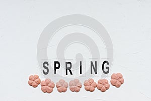 SPRING word and flower cookies on a white background. Spring holidays concept.
