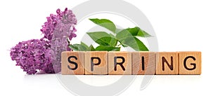 SPRING word and lilac flowers