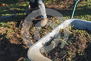 Spring work in the garden, a pile of soil with weeds in a garden cart, removing the surface layer of soil