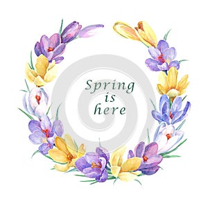 Spring wreath with colorful crocus flowers.