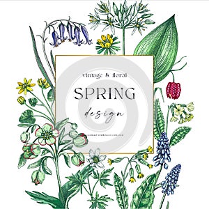 Spring wreath design. Wildflower sketches Floral cards, wedding invitations, wild flower background. Hand-drawn vector