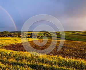 Spring yellow flowering rapeseed and small farmlands fields