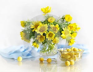 Spring yellow flowers in a vase