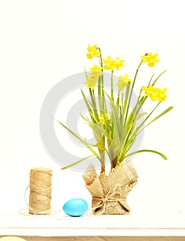 Spring yellow narcissus, blue easter egg and thread or rope