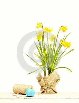 Spring yellow narcissus, blue easter egg and thread or rope