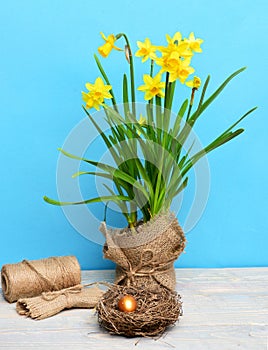 Spring yellow narcissus, golden easter egg and thread or rope