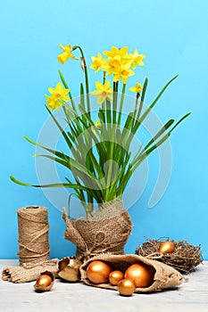 Spring yellow narcissus, golden easter egg and thread or rope