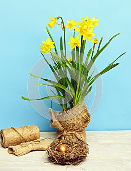 Spring yellow narcissus, golden easter egg and thread or rope