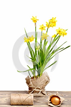 Spring yellow narcissus, golden easter egg and thread or rope