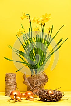 Spring yellow narcissus, golden easter egg and thread or rope