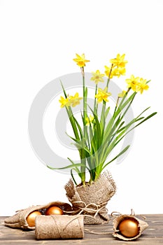Spring yellow narcissus, golden easter eggs and thread or rope