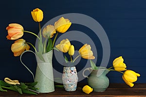 Spring Yellow Tulips Still Life with green vases on a wood shelf or table with dark navy blue boards background for copy space.  I