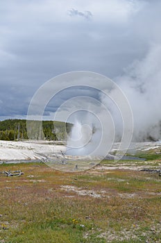 Spring in Yellowstone: Cliff Geyser of the Emerald Group in the Black Sand Basin Area of Upper Geyser Basin Erupts